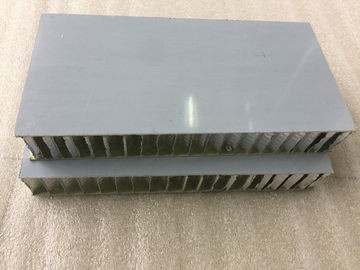 중국 백색 PVDF/FEVE 페인트 알루미늄 벌집 합성 패널 방음  공장